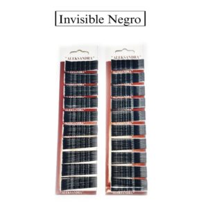invisible